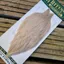 Whiting Hebert Miner Hen Cape in Pale Watery Dun